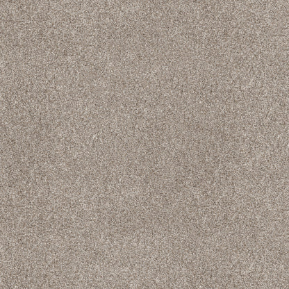 E9446-00105-swatch-shaw-floors