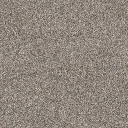 E9446-00111-swatch-shaw-floors