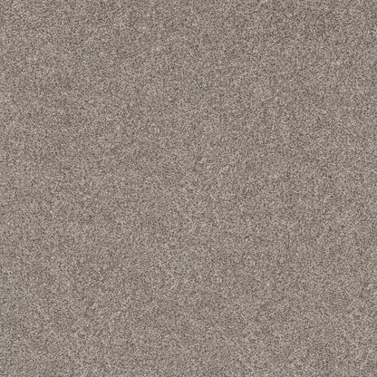 E9446-00510-swatch-shaw-floors