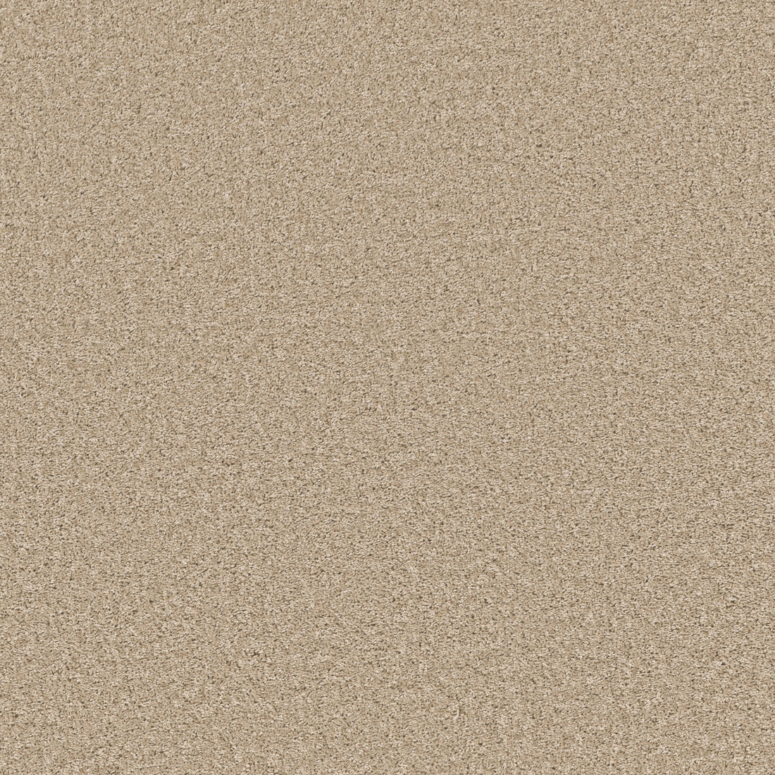 E9699-00211-swatch-shaw-floors