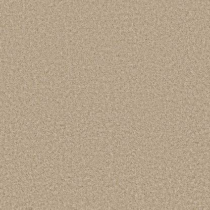 E9699-00211-swatch-shaw-floors