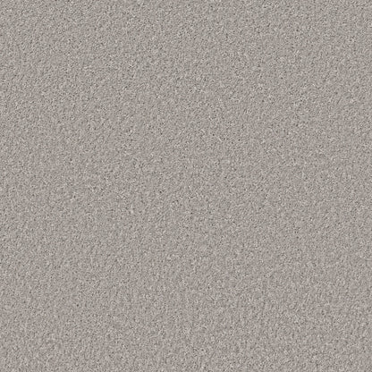 E9699-00512-swatch-shaw-floors