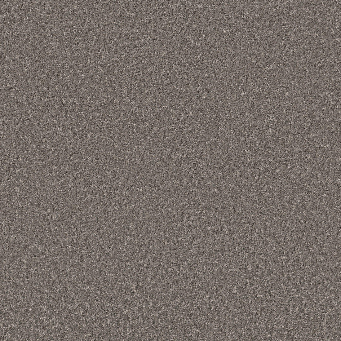 E9699-00513-swatch-shaw-floors