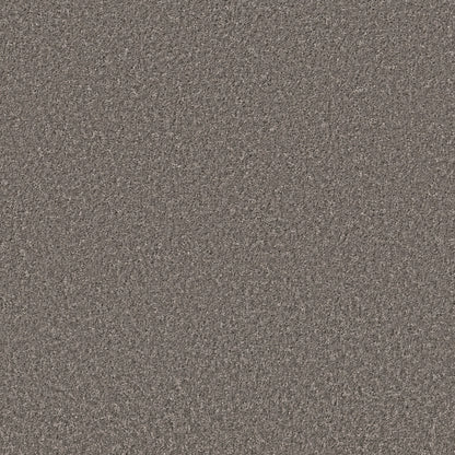 E9699-00513-swatch-shaw-floors