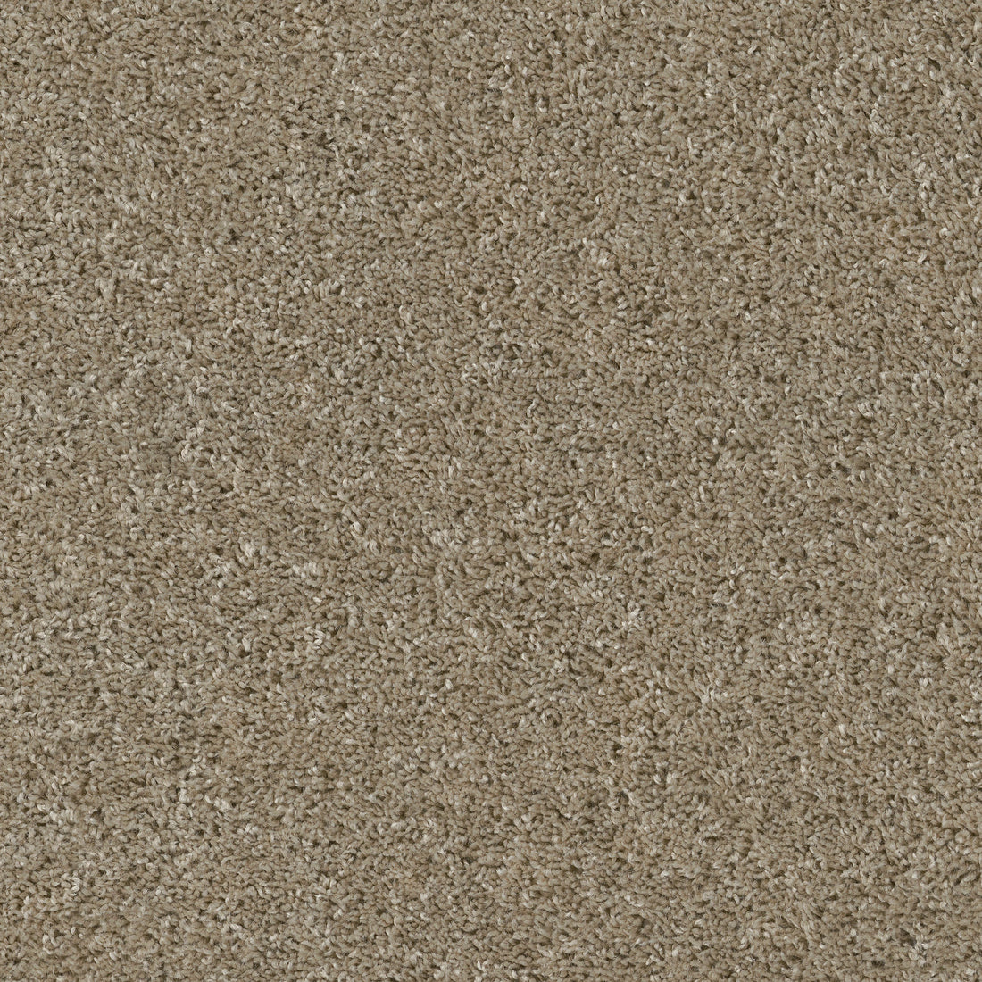 E9699-00732-swatch-shaw-floors