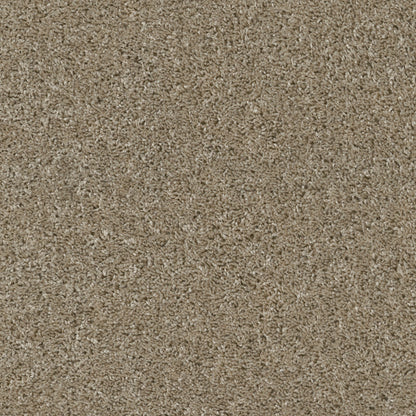 E9699-00732-swatch-shaw-floors