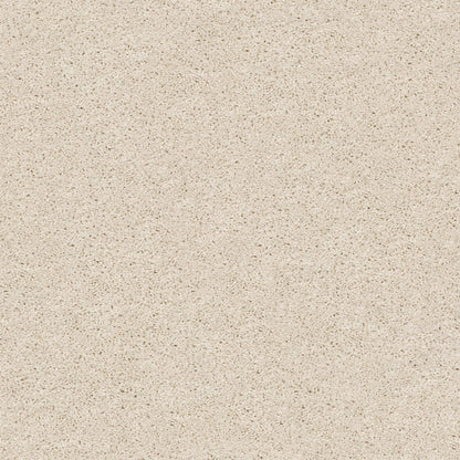 E9714-00172-swatch-shaw-floors