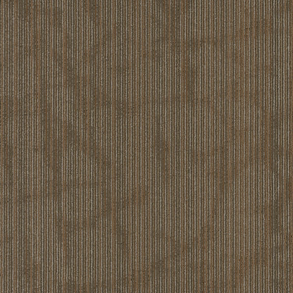 54895-00700-swatch-shaw-floors