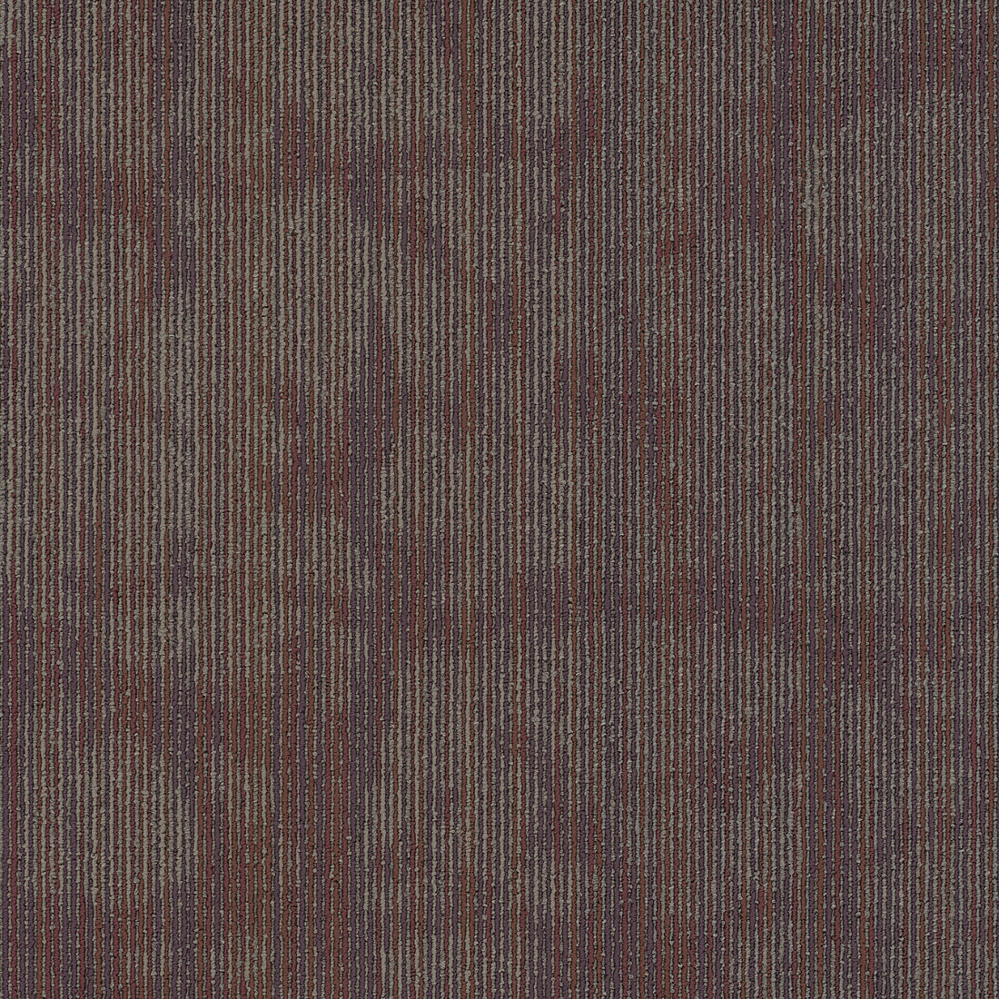 54895-00906-swatch-shaw-floors