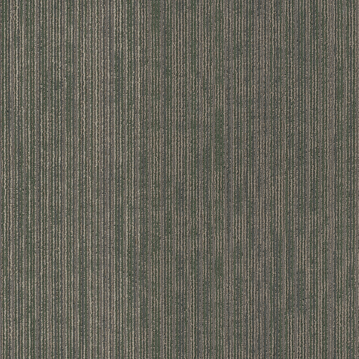 54896-00300-swatch-shaw-floors