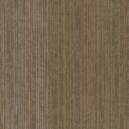 54896-00700-swatch-shaw-floors