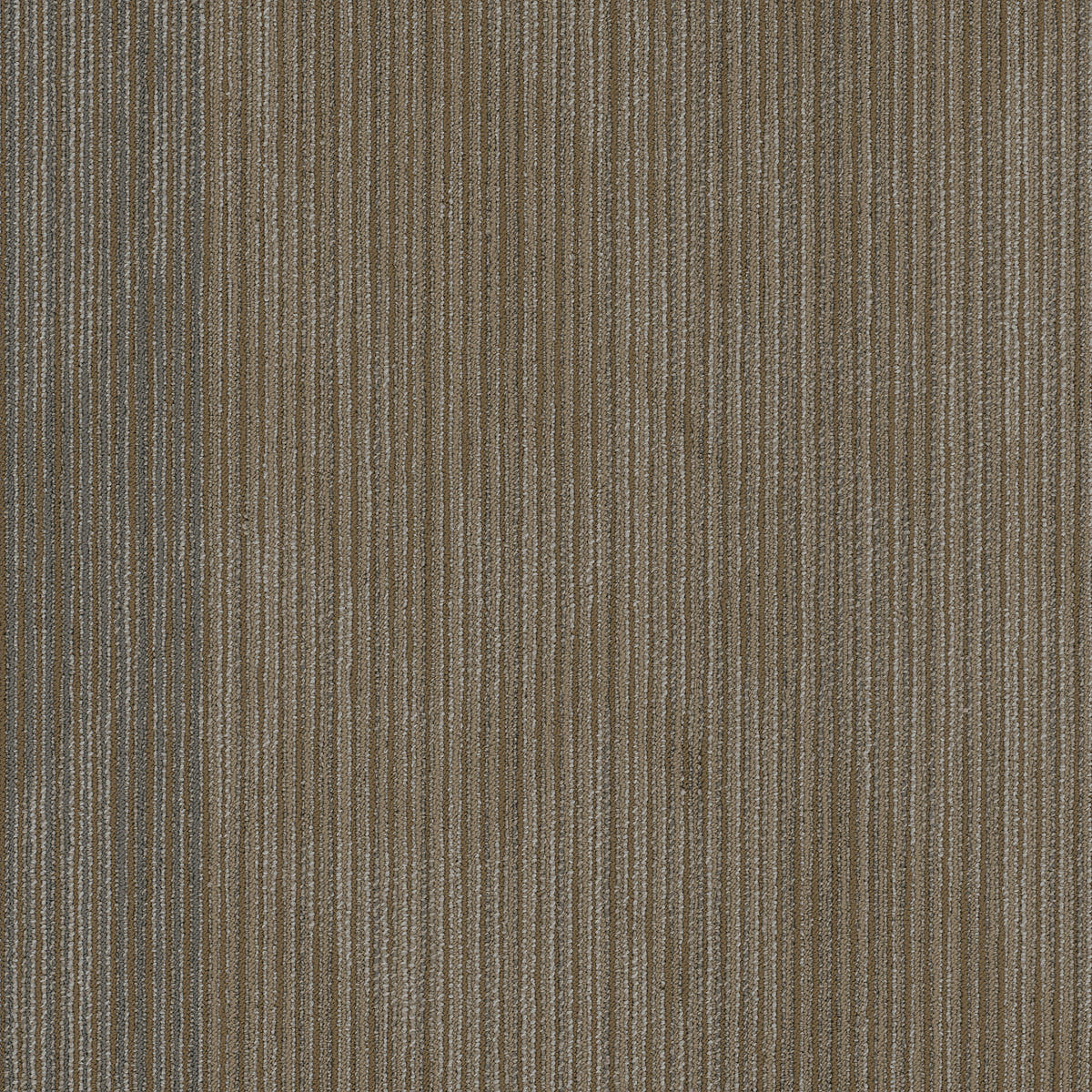 54904-00208-swatch-shaw-floors