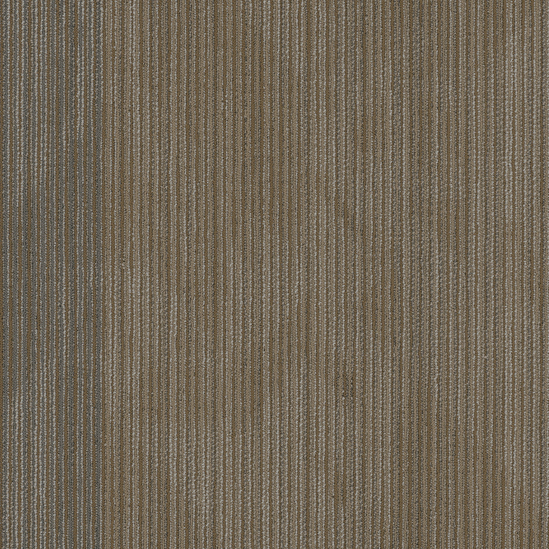 54904-00208-swatch-shaw-floors