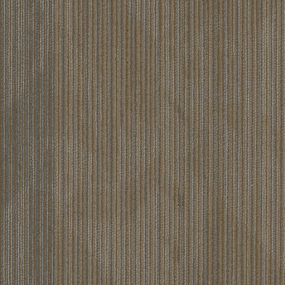 54904-00208-swatch-shaw-floors