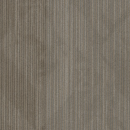 54904-00210-swatch-shaw-floors