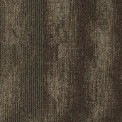 54904-00706-swatch-shaw-floors