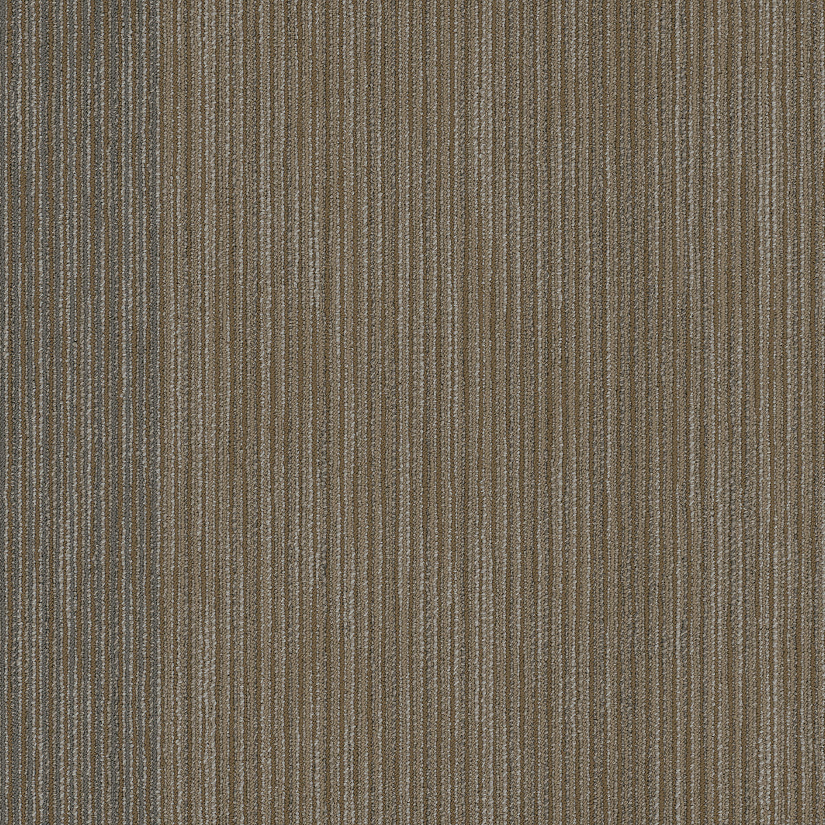 54906-00208-swatch-shaw-floors