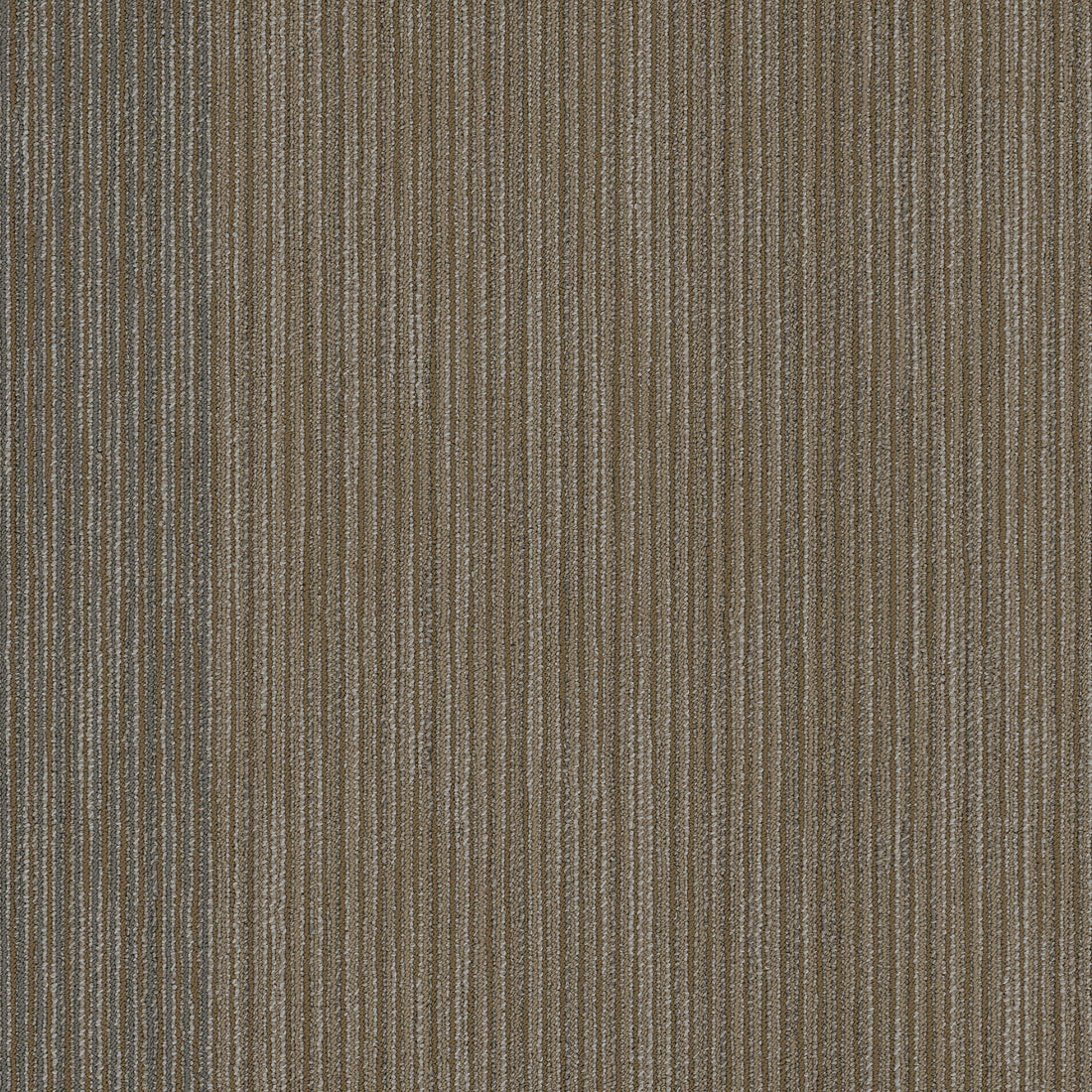 54906-00208-swatch-shaw-floors