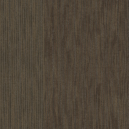 54906-00706-swatch-shaw-floors