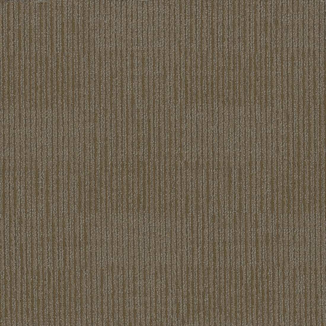 54907-00210-swatch-shaw-floors