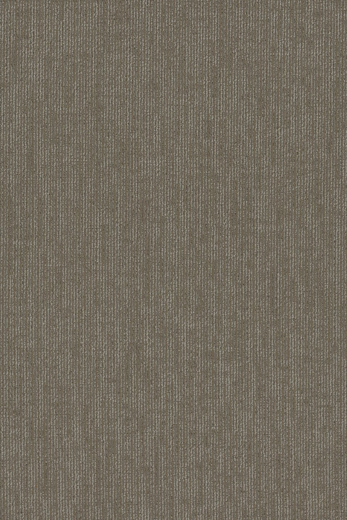 54908-00105-swatch-shaw-floors