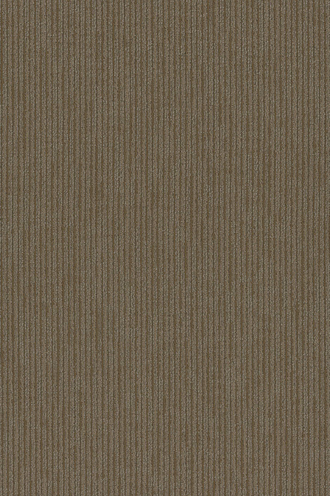 54908-00210-swatch-shaw-floors