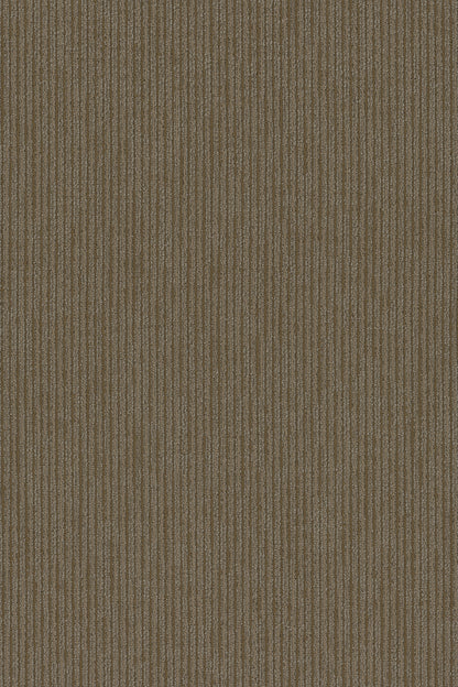 54908-00210-swatch-shaw-floors