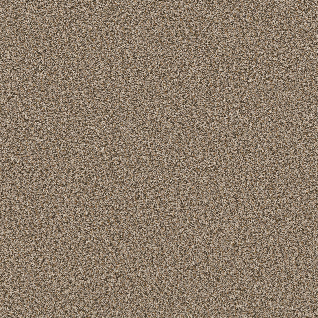 5E242-00111-swatch-shaw-floors