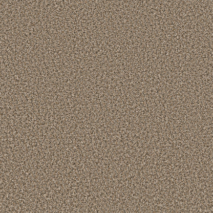 5E242-00111-swatch-shaw-floors