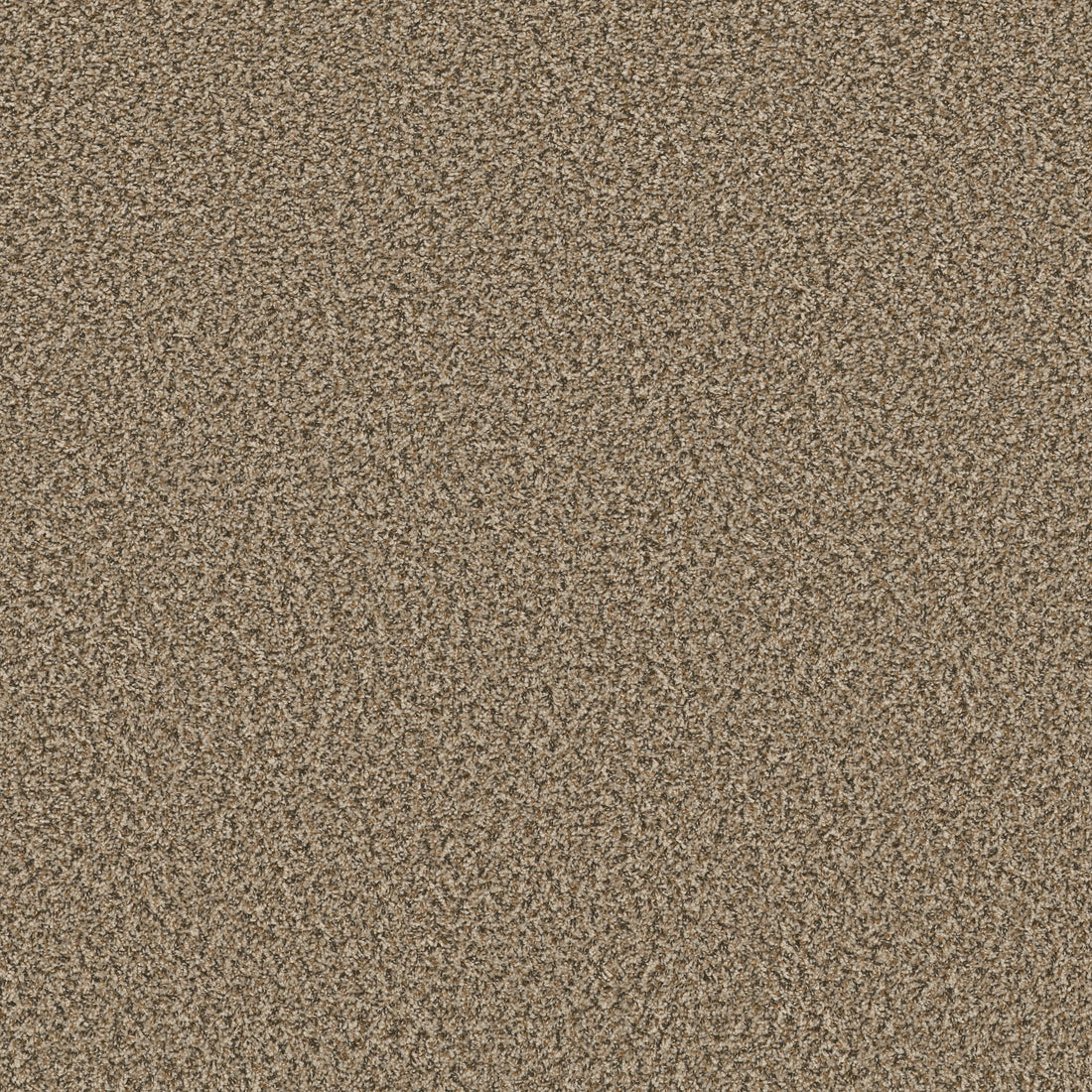 5E242-00113-swatch-shaw-floors