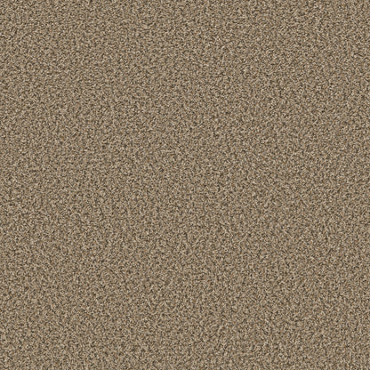5E242-00113-swatch-shaw-floors