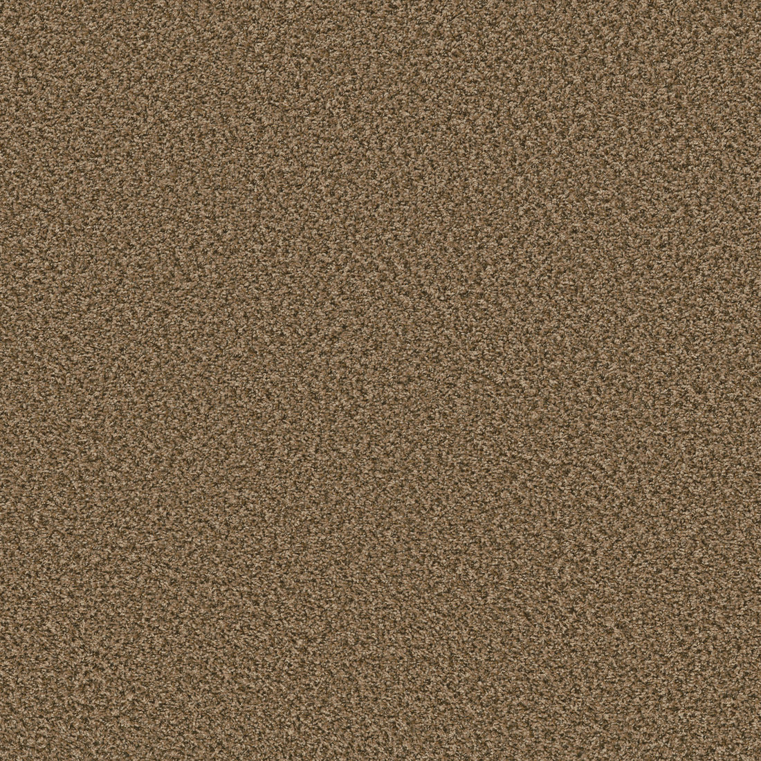 5E242-00211-swatch-shaw-floors