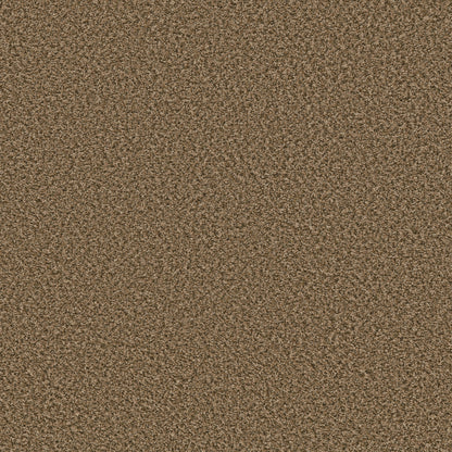 5E242-00211-swatch-shaw-floors