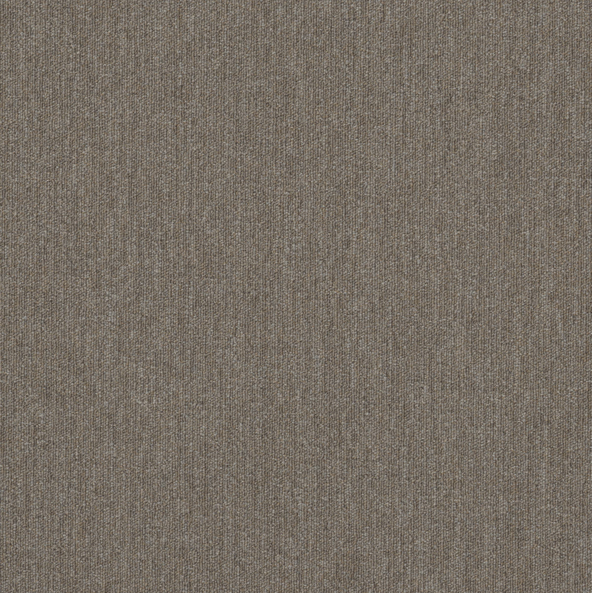 54936-00200-swatch-shaw-floors