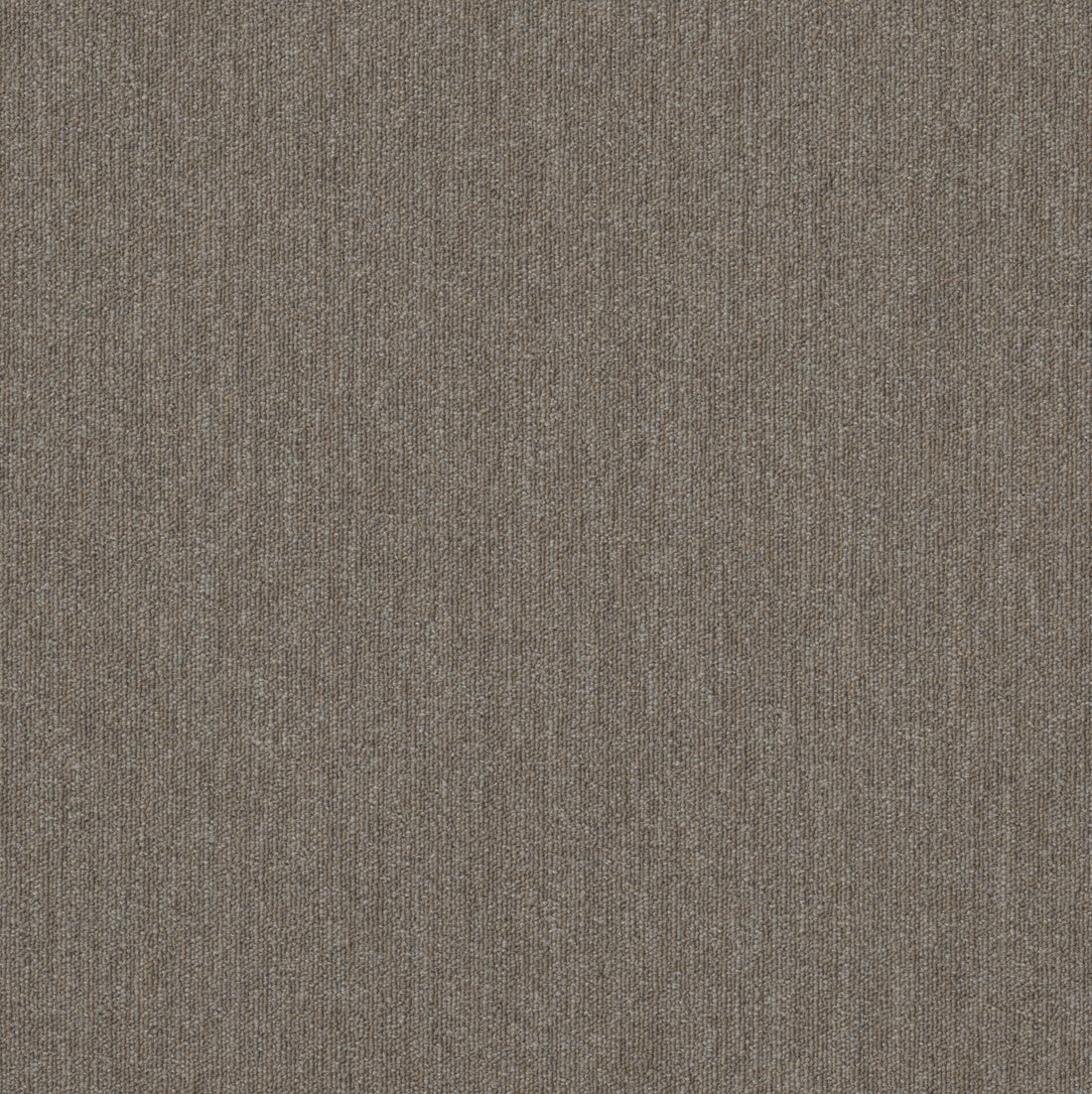 54936-00200-swatch-shaw-floors