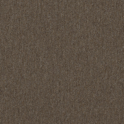 54936-00700-swatch-shaw-floors