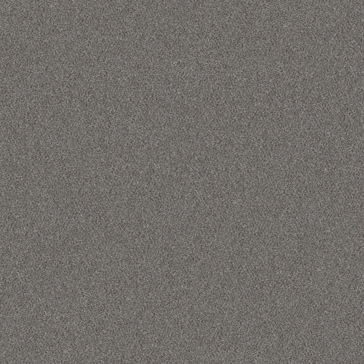 5E482-00502-swatch-shaw-floors