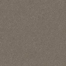 5E482-00700-swatch-shaw-floors