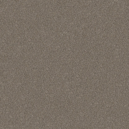 5E482-00700-swatch-shaw-floors