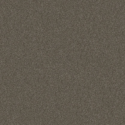 5E482-00702-swatch-shaw-floors