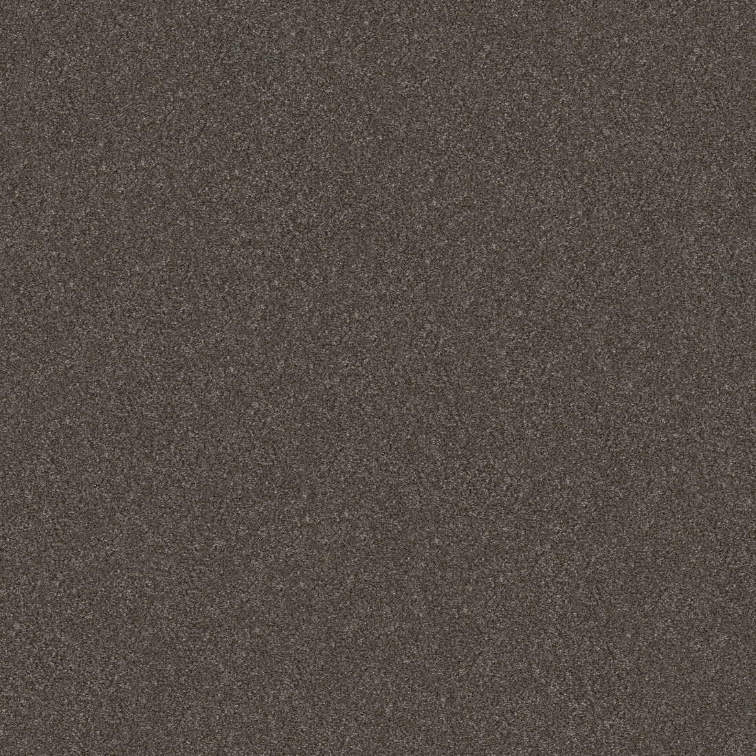 5E482-00703-swatch-shaw-floors