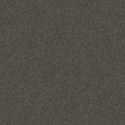 5E482-00703-swatch-shaw-floors
