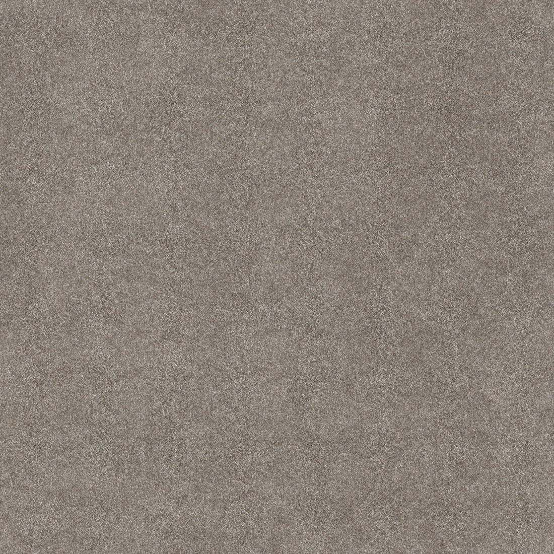 5E482-00101-swatch-shaw-floors