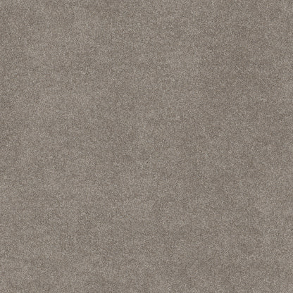 5E482-00101-swatch-shaw-floors