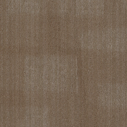 54977-00205-swatch-shaw-floors