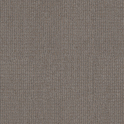 54985-00200-swatch-shaw-floors