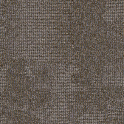 54985-00204-swatch-shaw-floors