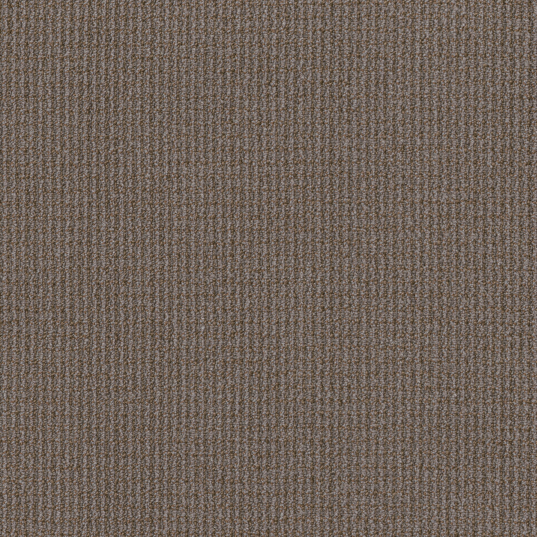 54985-00206-swatch-shaw-floors