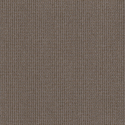 54985-00206-swatch-shaw-floors
