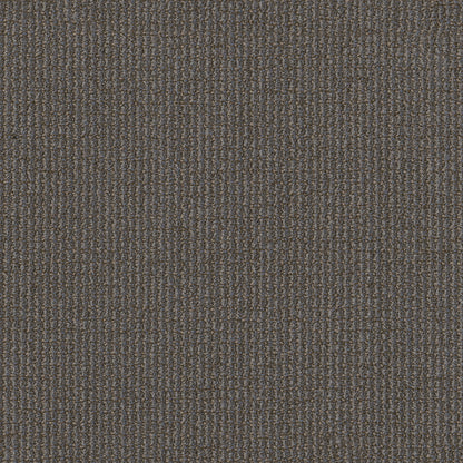 54985-00700-swatch-shaw-floors